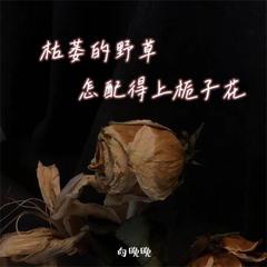 歌手向晚晚的头像