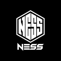 歌手NOPER&Ness music的头像