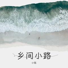 歌手小陈的头像