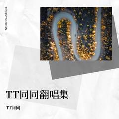 歌手TT同同的头像