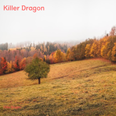 歌手Killer Dragon杀手龙的头像