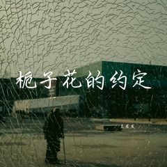 歌手王发发的头像