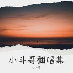 歌手小斗 哥的头像