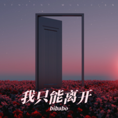 歌手bibabo的头像