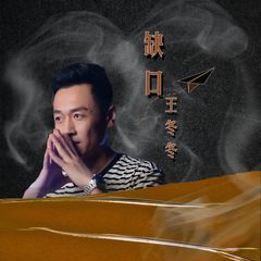 歌手王冬冬的头像