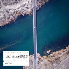 歌手Chushums的头像