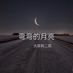 歌手大双和二双的头像