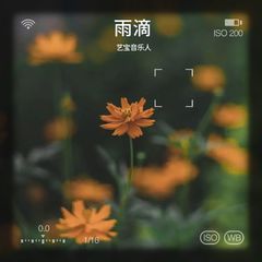 歌手艺宝音乐人的头像