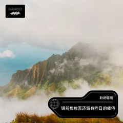 歌手聆听哪雨的头像