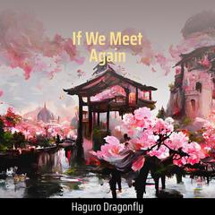 歌手Haguro Dragonfly的头像