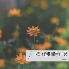 歌手小鹏鹏的头像