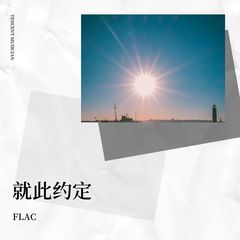 歌手FLAC的头像