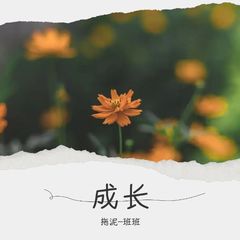 歌手拖泥-班班的头像