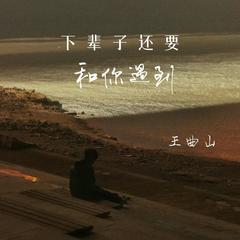 歌手王曲山的头像