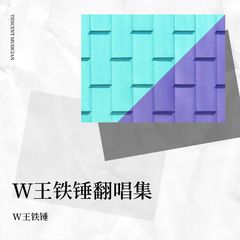 歌手W王铁锤的头像