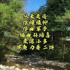 歌手孙媛的头像