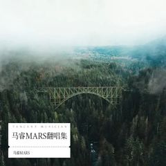 歌手马睿MARS的头像