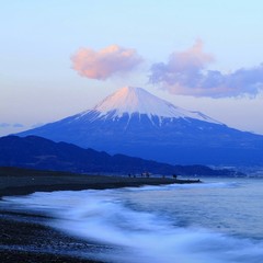 歌手七壹的头像