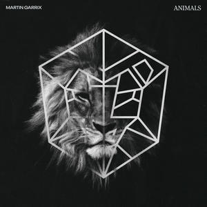 Martin Garrix《Animals》[MP3_LRC]