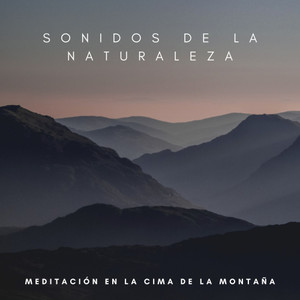 SPA&Yoga & Meditación&Musica para Concentrarse《Mareas Instantáneas》