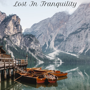 Lost in Tranquility&Quiet Piano《Fine Afternoon》