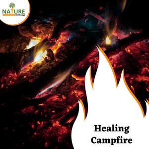 Eric Library of Nature Sounds《Mist and Campfire》[MP3_LRC]