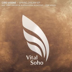 Ciro Visone&Alessandra Roncone《Fire Angel(Original Mix)》[MP3_LRC]