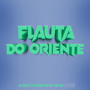 Mc GW&DJ NOVATO&DJ Theuz ZL&Mc M4《Flauta do Oriente(Explicit)》[MP3_LRC]