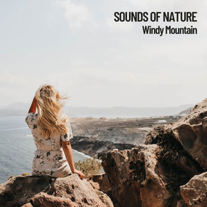 Nature Recordings&Massage Music Guru&Happy Work from Home《Relaxing Wind》