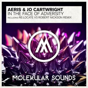 Aeris&Jo Cartwright《In The Face of Adversity(Re:Locate Vs. Robert Nickson Remix)》[MP3_LRC]