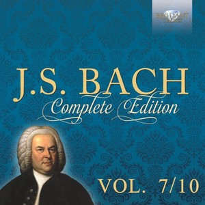 Netherlands Bach Collegium&Pieter Jan Leusink&Marcel Beekman《II. Recitativo. Wo treff ich meinen Jesum an (Tenore)》[MP3_LRC]