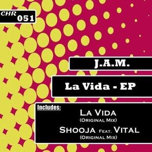 J.A.M.《La Vida(Original Mix)》[MP3_LRC]