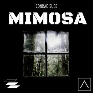 Conrad Subs《Scumbag(Original Mix)》[MP3_LRC]