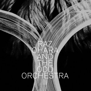 Raz Ohara&The Odd Orchestra《Wildbirds》[MP3_LRC]