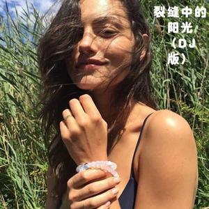麝月&八妹&DJ丧妹《裂缝中的阳光》