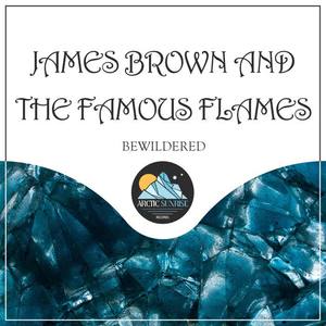 James Brown and The Famous Flames《Messing with the Blues》[MP3_LRC]