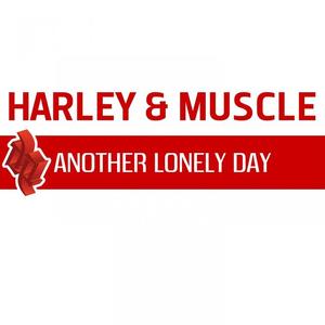 Harley&Muscle《Another Lonely Day(H&M Roving)》[MP3_LRC]