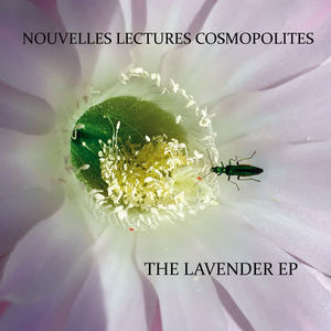 Nouvelles Lectures Cosmopolites《Battle in the Staircase》