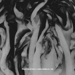 Cawd Slaydaz&LoMaasBello&Hugo Van Heijningen&Max van Broeckhuysen&Johan Danilo Castrillon Nogales《2C Pusi》