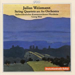 Südwestdeutsches Kammerorchester Pforzheim&Georg Mais《I. In tempo tranquillo ma con moto》[MP3_LRC]