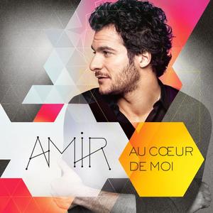 Amir《On dirait》[MP3_LRC]