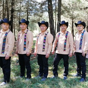 Botella musical《Xi'in guitarra yuu xakuyu》
