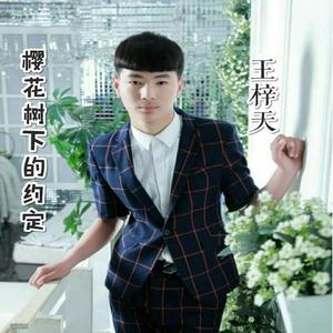 王梓天&康乐《樱花树下的约定》[MP3_LRC]