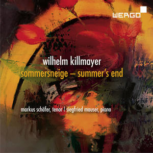 Markus Schafer&Siegfried Mauser&Wilhelm Killmayer《V. Sommersneige》[MP3_LRC]