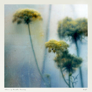 Soosh&Dam Mantle《For You》
