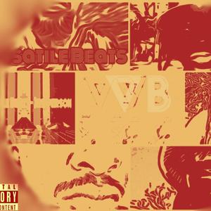 VB Versatile Beats《Mind Sex Again》