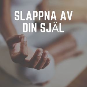 Avslappning Sound《Soker fred》