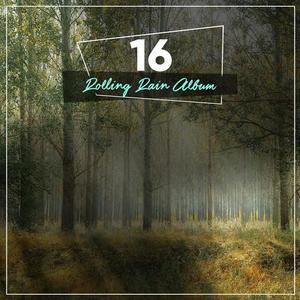 Nature Sounds XLE Library&Life Sounds Nature&Deep Sleep FX《Rain's Kiss》