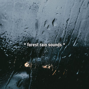 Sound Effects Library&Sound Effects Factory&Sound Effects《rain at night》