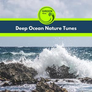 Eric Library of Nature Sounds《Prime Oceans》[MP3_LRC]